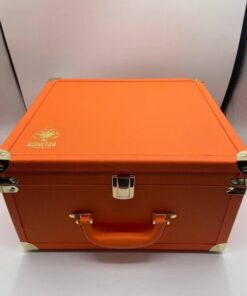 Alternative view of ACE SPRING EDITION